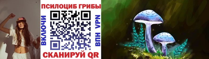 Купить где  Анива  Псилоцибиновые грибы Psilocybine cubensis 